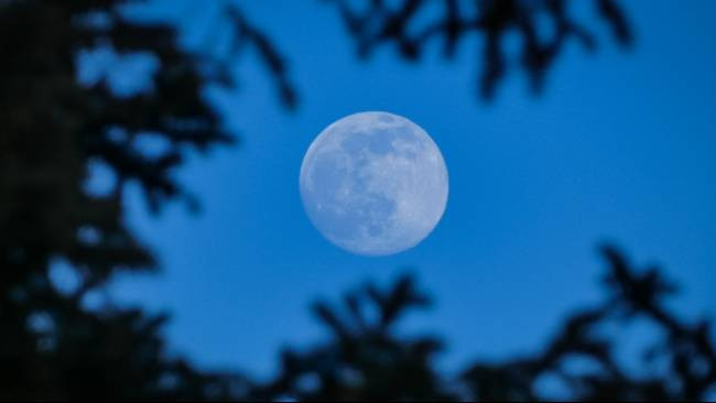 Blue Supermoon