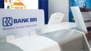 BRI Imbau Nasabahnya untuk Validasi NIK Jadi NPWP Agar Tidak Terkena Kenaikan Trif PPh