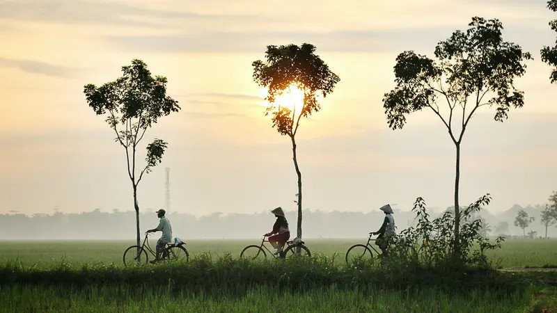 Suasana Pagi yang Segar dan CErah di Pedesaan