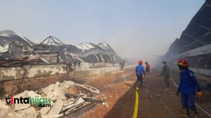 3 Kandang Ayam di Majalengka Terbakar. 216 ribu Ayam Terpanggang