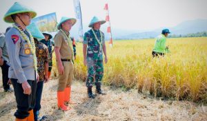 Inovasi Pupuk BIOS 44 DC Tingkatkan Hasil Panen, Pj Gubernur Bey Ingin Direplikasi di Jabar