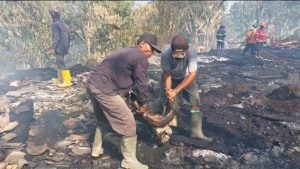 Lima Kandang Ternak Ludes Terbakar di Tanjungwangi Subang, 6 Domba Terpanggang