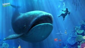 Kisah Nabi Yunus dan Doa yang Dipanjatkannya Ketika Berada di Dalam Perut Ikan Paus