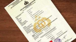 Panduan Lengkap Membuat SKCK 2025 Secara Offline dan Online