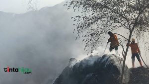 19 Petistiwa Kebakaran di Kabupaten Subang Dalam Sebulan Terakhir