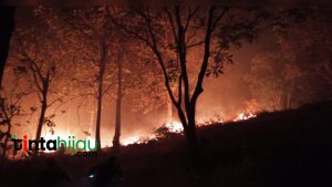 Selama September, 74 Peristiwa Kebakaran Terjadi di Kabupaten Subang