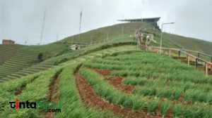 Destinasi Wisata Cantik di Majalengka, Inilah Sejarah Nama Panyaweuyan