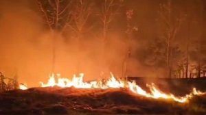 Tim Damkar Dikerahkan untuk Atasi Kebakaran Lahan di KM 140 Tol Cipali