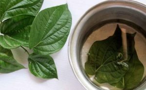 Bisa Dicoba, Rebusan Herbal untuk Atasi Asam Urat Tanpa Efek Samping
