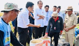 Pantau Panen Raya di Subang, Pj Gubernur Jabar Pede Stok Beras Aman Hingga Akhir Tahun