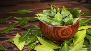 Mengenal Sejumlah Manfaat Luar Biasa dari Daun Salam untuk Kesehatan