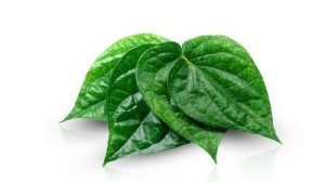 Redakan Asam Lambung dengan Rebusan 3 Jenis Daun Ini