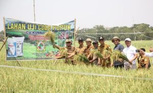 Tergerus Industrialisasi, Wabup Yakinkan Subang Tetap Jadi Lumbung Padi Nasional