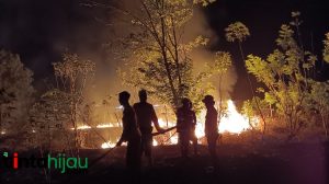 Lahan Kosong Terbakar, Kobaran Api Letter O Nyaris Melalap Gedung Bawaslu Subang