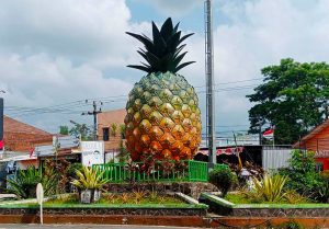 Inilah 18 Rekomendasi Oleh-Oleh Makanan Khas Kabupaten Subang, Cocok Dibawa Pulang Nih!