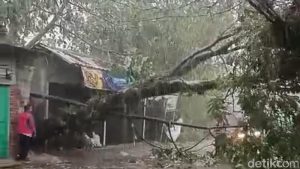 Dampak Hujan Deras dan Angin Kencang, 497 Bangunan di Bogor Rusak