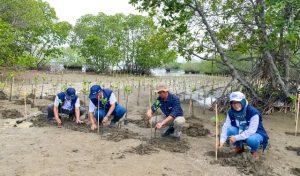 Cegah Banjir Rob, DAHANA Turut Berpartisipasi Tanam Mangrove di Legonkulon Subang