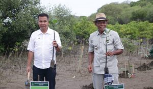 Pemprov Lakukan Gerakan Tanam Pohin, Bupati Subang: Semoga Betul-betul Mampu Imbangi Lahan Kritis