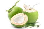 Air Kelapa Muda, Minuman Alami dengan Segudang Manfaat Kesehatan