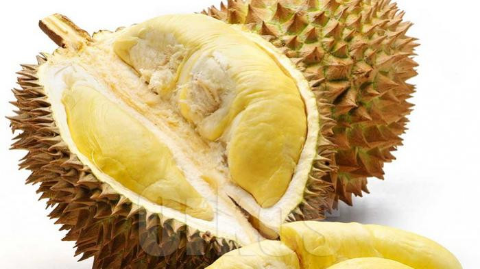 Durian Si Raja Buah yang Kaya Manfaat untuk Kesehatan
