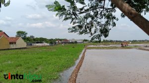 Jumlah Usaha Pertanian di Jabar Tahun 2023 Capai 3,29 Juta