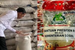 Kemensos Salurkan 2025, Simak Jadwal dan Cara Cek Penerima