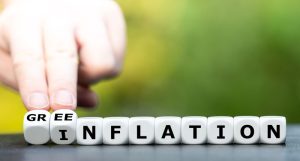 Arti Greenflation yang Disebut Gibran pada Debat Cawapres 2024