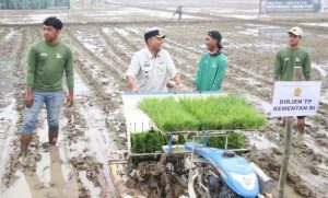 Pj. Bupati Subang Tanam Padi Bersama Pangkostrad di Sukamandi