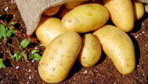 Suka Makan Kentang? Berikut 5 Manfaat Kentang untuk Kesehatan