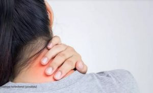 Belum Banyak yang Tahu! Lima Daun Ini Ternyata Ampuh Turunkan Kolesterol