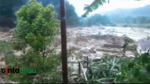 Longsor di Subang, Camat Kasomalang: 300 Warga Megungsi dan 11 Orang Luka