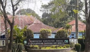 Diem-diem Bae, Seorang Direksi Perumda Tirta Rangga Subang Ternyata Maju di Pileg 2024 untuk DPR RI