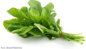 Berikut Beberapa Sayuran yang Mengandung Asam Folat Tinggi