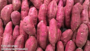 Rutin Konsumsi Ubi Ungu, Ini 7 Manfaat yang Bakal Kamu Peroleh untuk Kesehatan