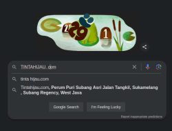 Google Doodle Rayakan Hari Kabisat 2024: Mengapa Tahun Kabisat Penting?