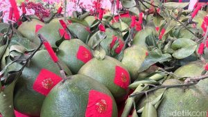 Jeruk Bali di Singkawang Kalbar Dilelang, Harganya Fantastis