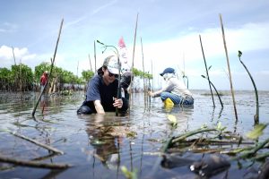 Badak LNG Ajak Anak Muda Peduli Lingkungan, Tanam 1.000 Bibit Mangrove
