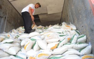 Harga Beras Naik, Begini Kata Ekonom Senior
