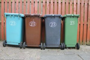 Yuk Kenali 5 Manfaat Pemilihan Sampah! Salah Satunya Mengurangi Pencemaran Lingkungan