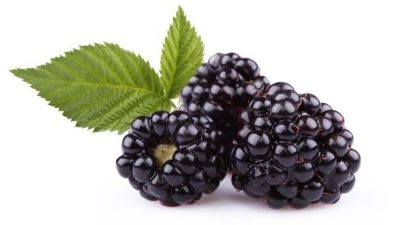 Cegah Pikun dengan Buah-buahan Ini Agar Ingatan Tetap Tajam di Usia Senja