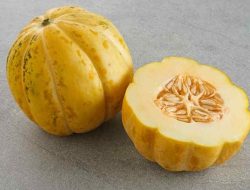 Sering Digunakan Menu Tajil Buka Puasa, Inilah Manfaat Blewah untuk Kesehatan