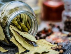 Inilah Khasiat Daun Salam Dilengkapi Cara dan Contoh Pemakaian!