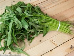 Makanan yang Dapat Menghambat Penyerapan Kalsium dalam Tubuh