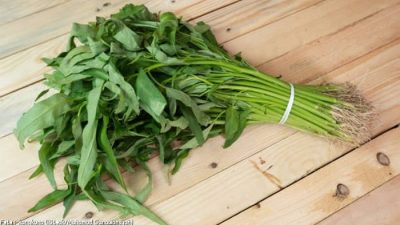Makanan yang Dapat Menghambat Penyerapan Kalsium dalam Tubuh