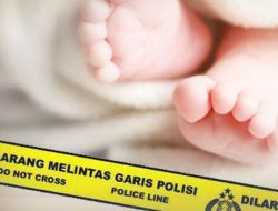 Warga Pandeglang Geger, Jasad Bayi Ditemukan Terkubur di Perkebunan