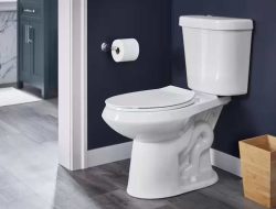 Cara Mencegah Ambeien dengan Menghindari Kebiasaan Buruk di Toilet