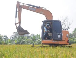 Bantu Ketersediaan Beras Nasional, Dedi Mulyadin Cetak Sawah Baru di Lembur Pakuan Subang