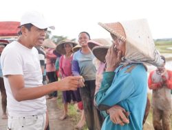 Dedi Mulyadi Sedih, Emak-emak di Karawang Seharian Kerja di Sawah Diupah Rp50 Ribu