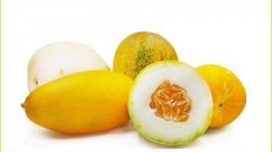Cara Menyimpan Timun Suri Agar Tahan Lama