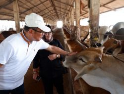 Strategi Pemerintah Tingkatkan Ketahanan Pangan Nasional di Bidang Agribisnis